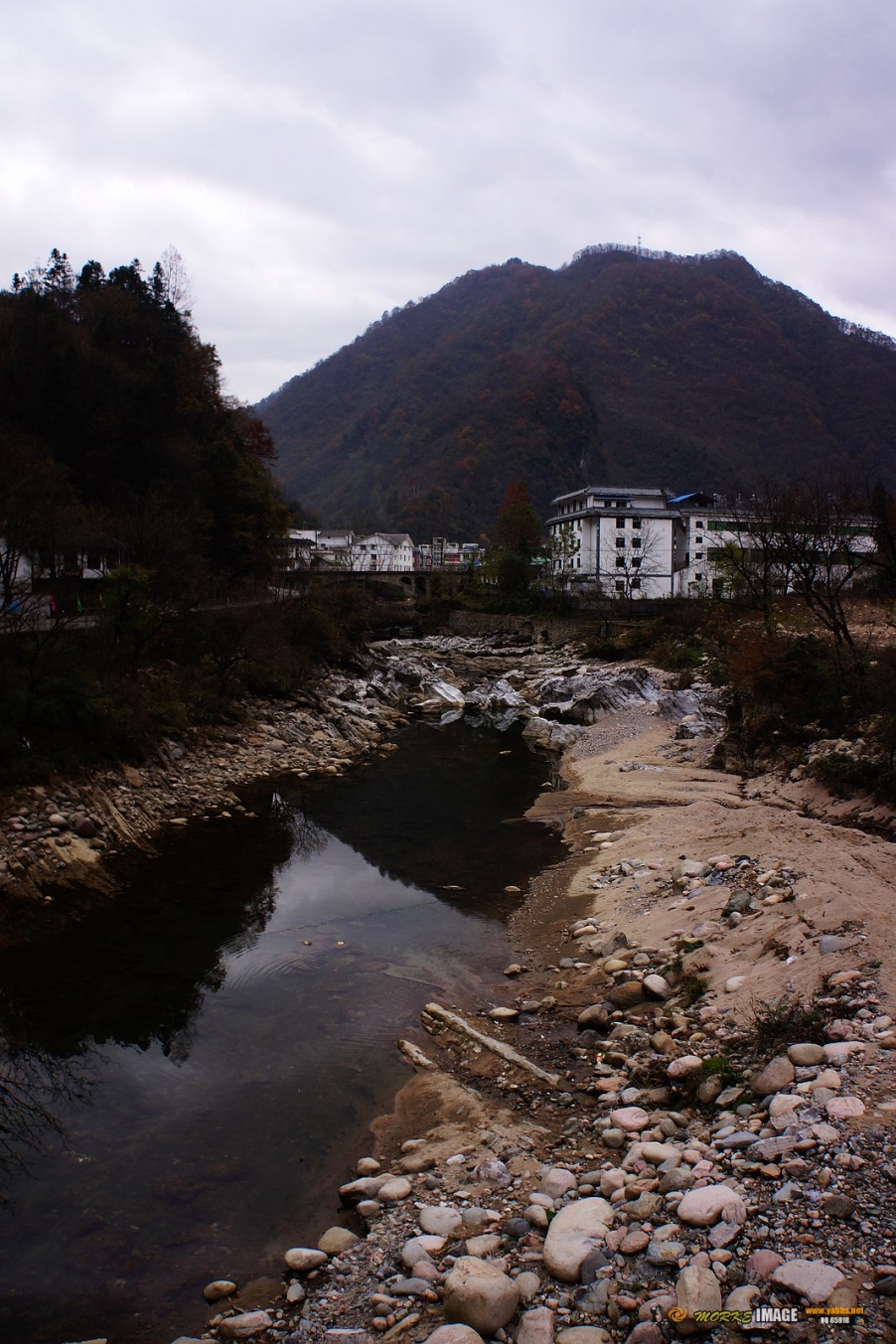 DSC08656a.jpg