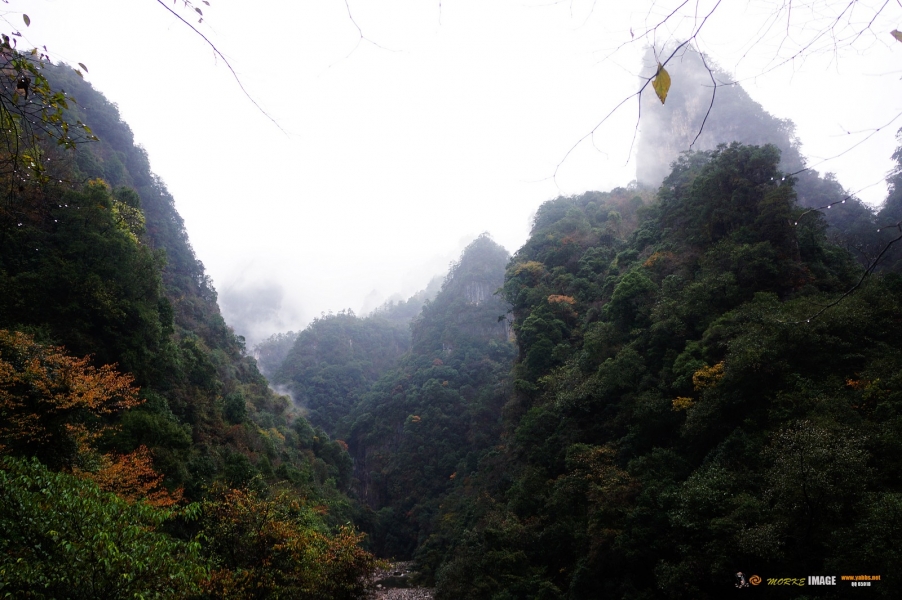 DSC08811a.jpg