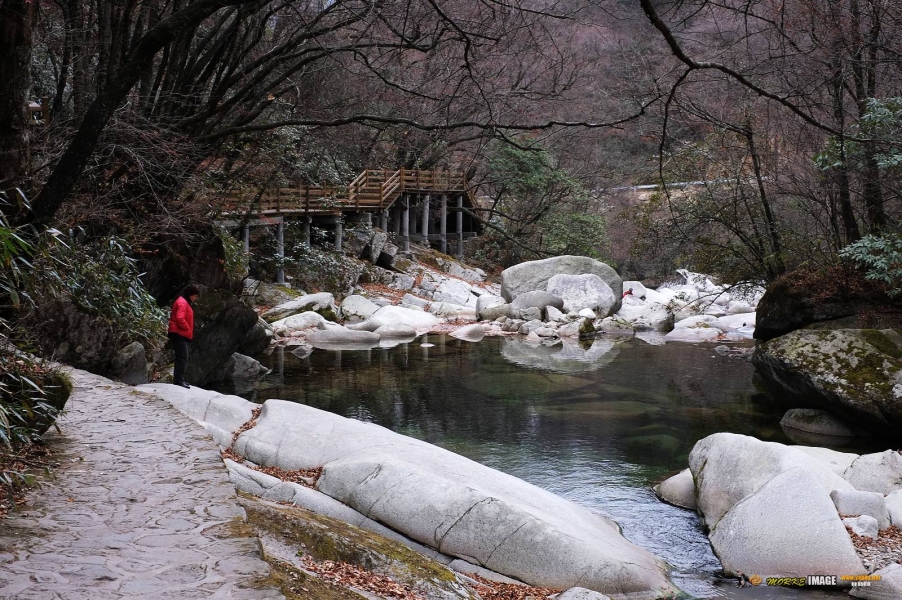 DSCF4195a.jpg