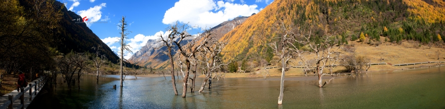 未标题_全景图4jpg.jpg