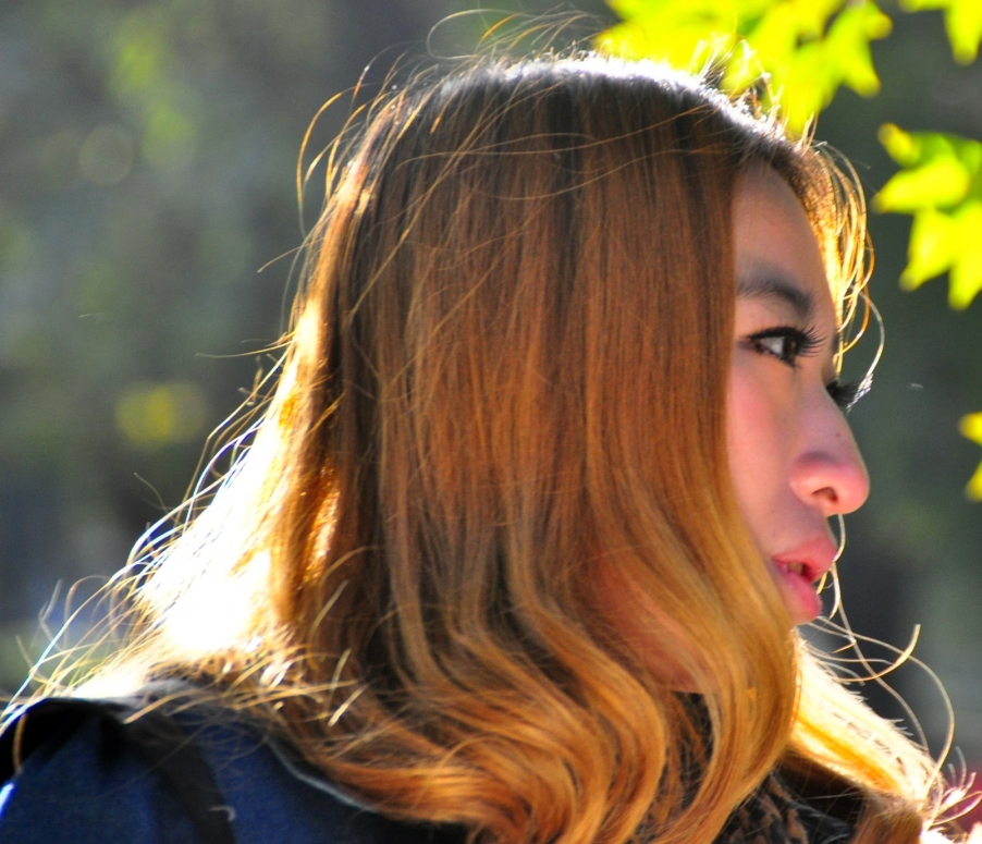 DSC_0156_conew1.jpg
