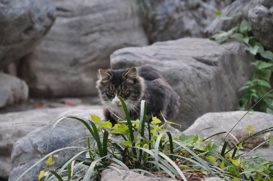 DSC_0612.JPG