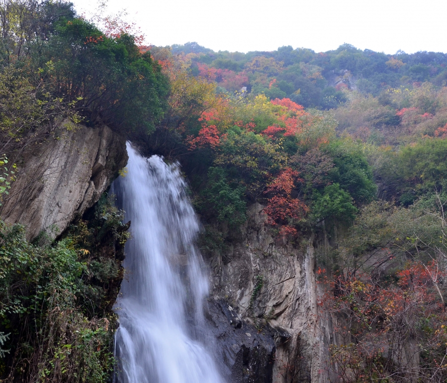 DSC_0349.JPG