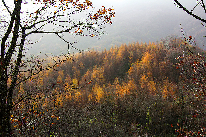 IMG_5853_副本.jpg