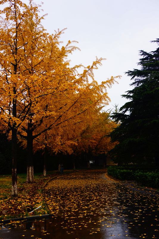DSC03383_副本.jpg