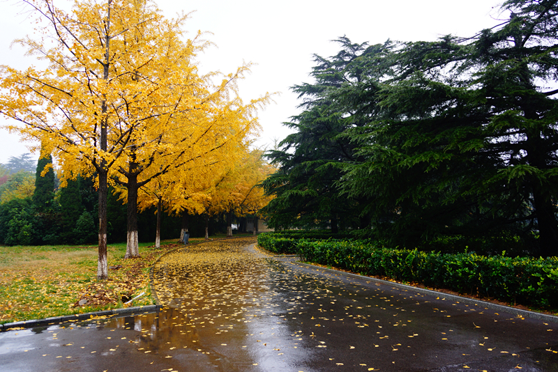 DSC03384_副本.jpg