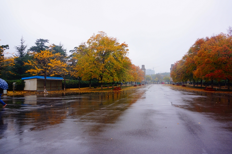 DSC03388_副本.jpg