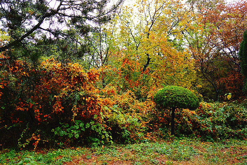DSC03421_副本.jpg