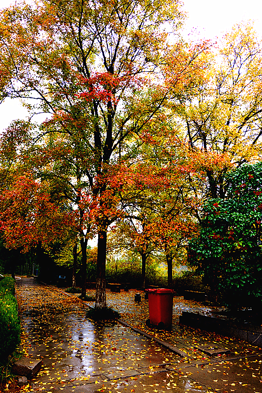 DSC03423_副本.jpg