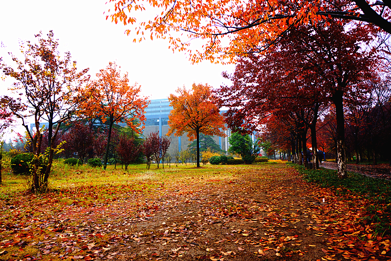DSC03429_副本.jpg