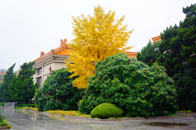 DSC03500_副本.jpg