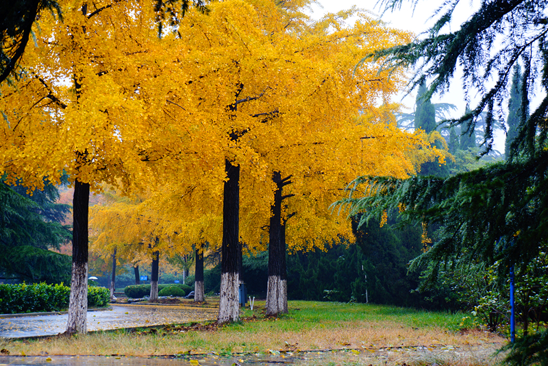 DSC03516_副本.jpg