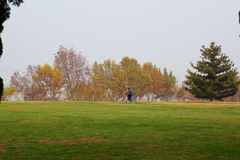 DSC02810_副本.jpg