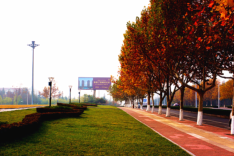 DSC02828_副本.jpg