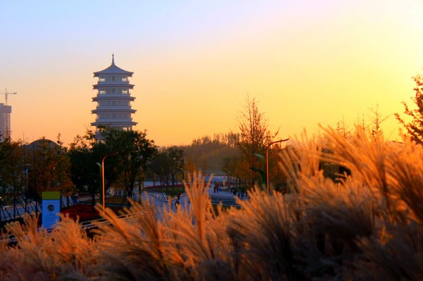 conew_img_7502_副本.jpg