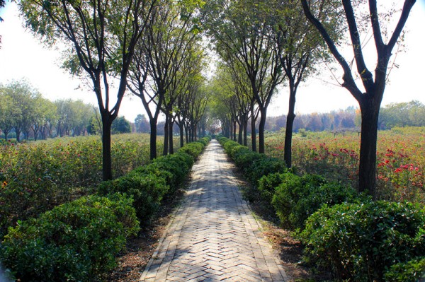 conew_img_7602_副本.jpg