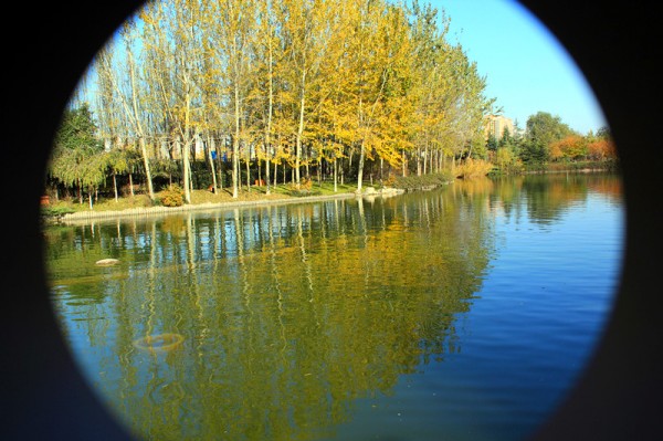conew_img_7683_副本.jpg