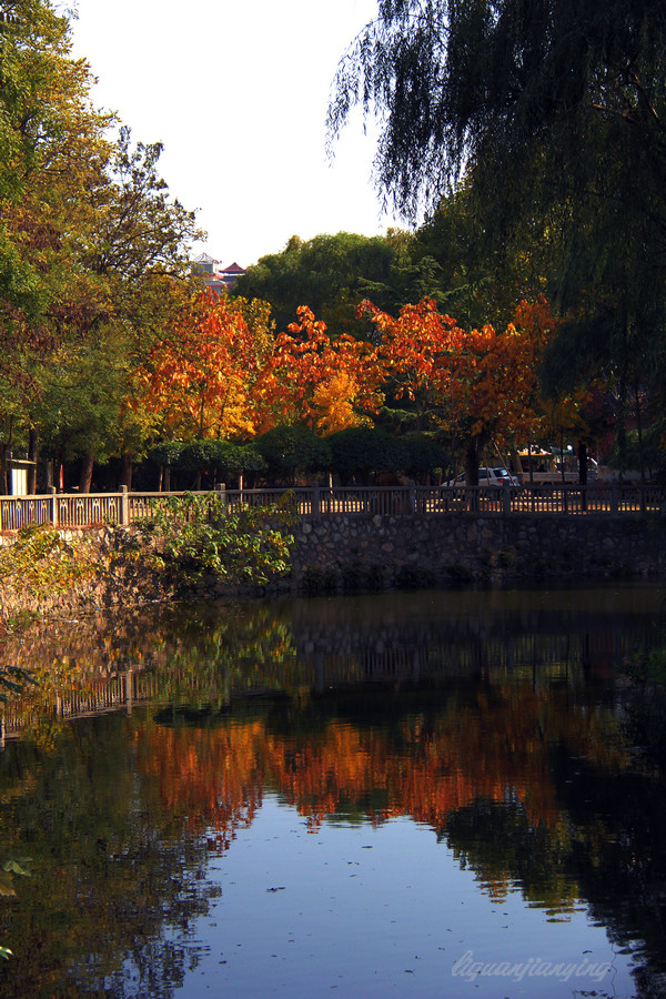 IMG_2774_副本.jpg