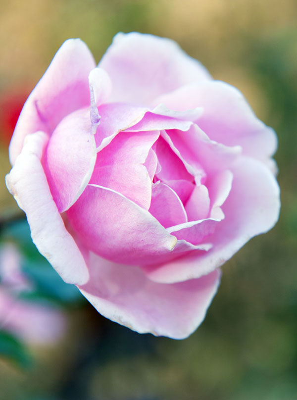 DSC_1674.jpg