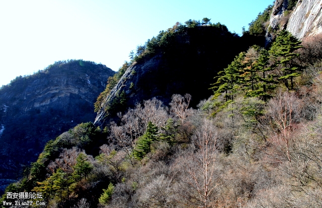 DSC_0945.jpg