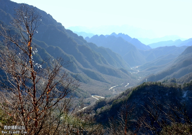 DSC_0921.jpg