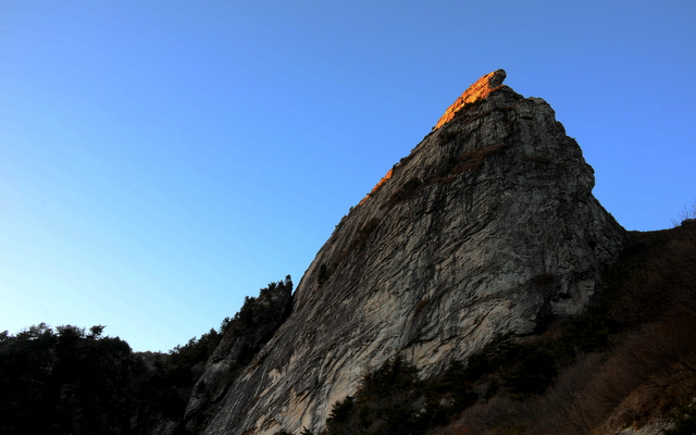 DSC_0982.jpg