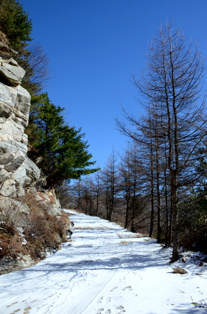 DSC_0894.jpg