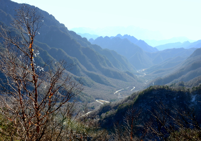 DSC_0921.jpg