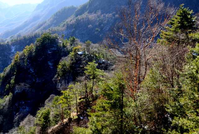 DSC_0926.jpg
