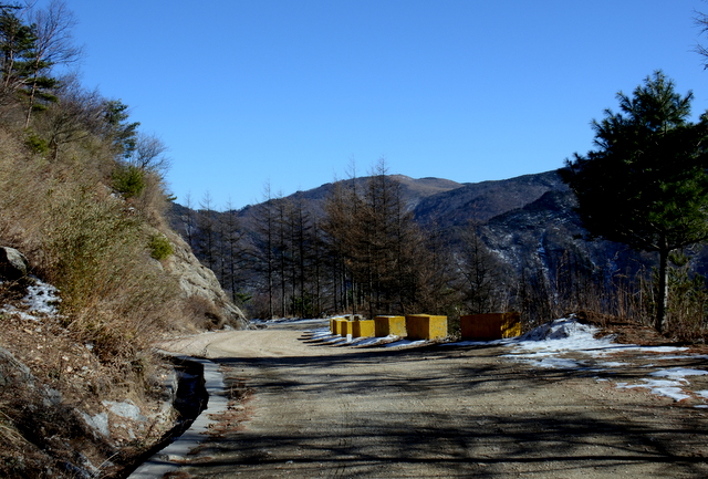 DSC_0929.jpg