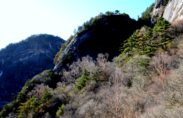 DSC_0945.jpg