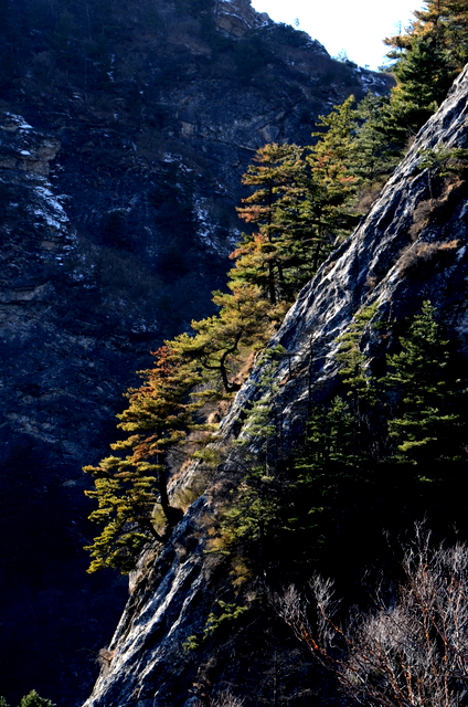 DSC_0950.jpg