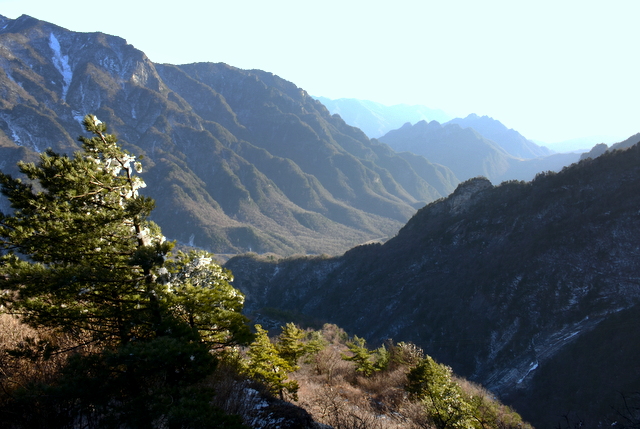 DSC_0965-002.jpg