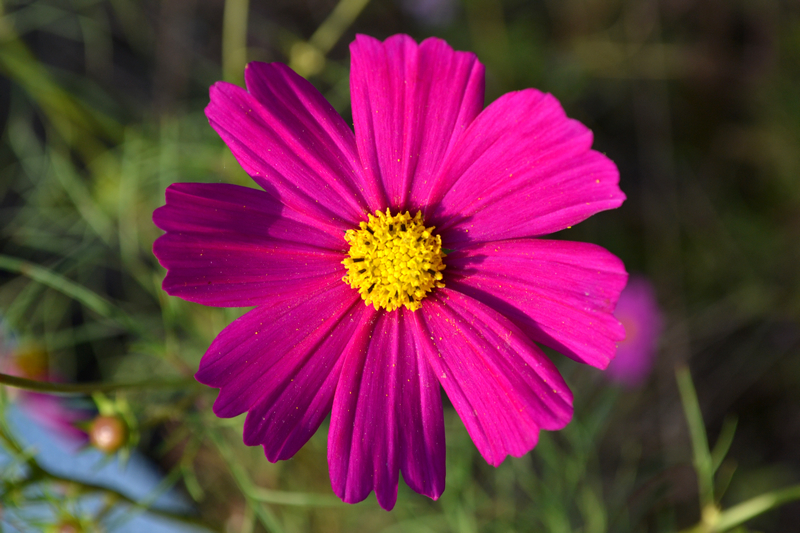 DSC_0113.jpg