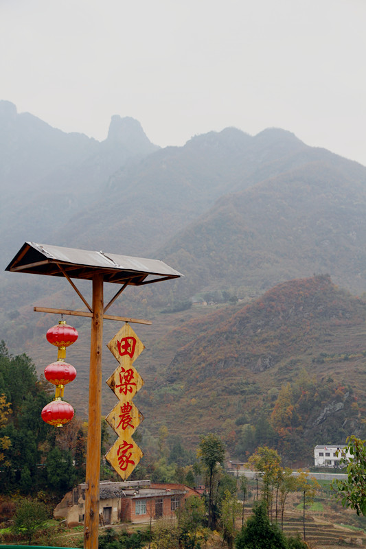 凤凰岭 119_副本.jpg