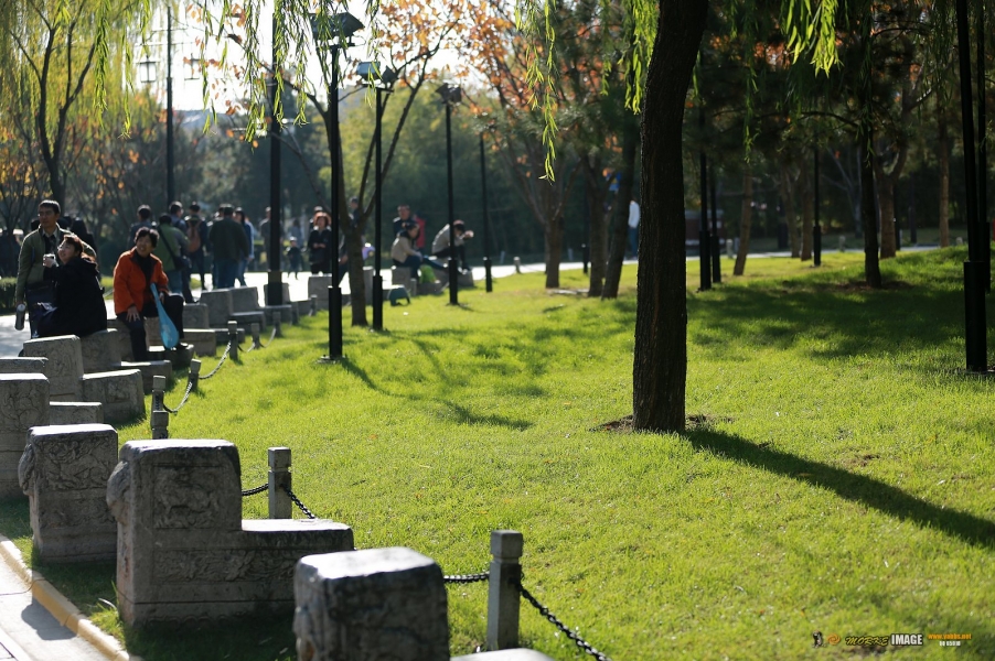 1G8A5049a.jpg
