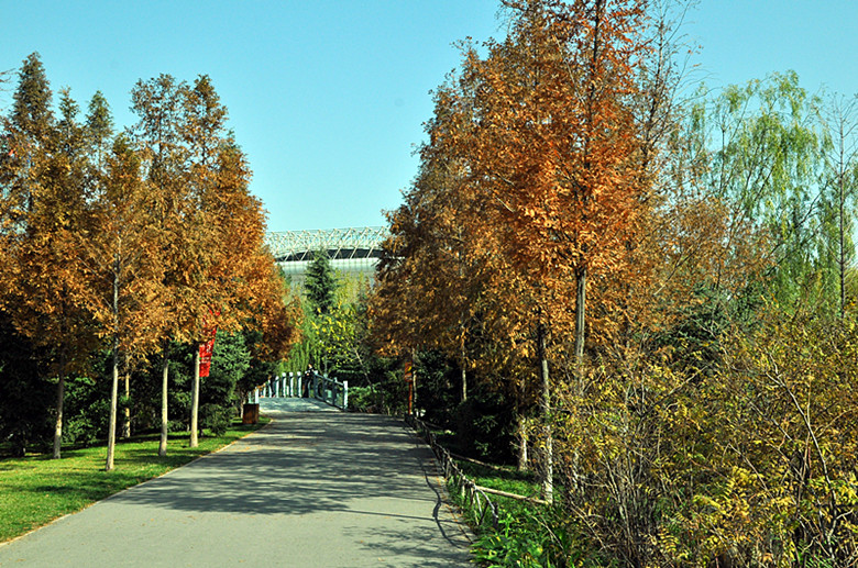 DSC_1891_副本.jpg
