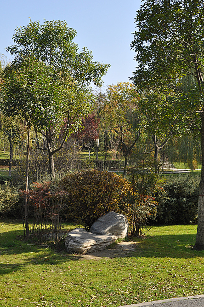 DSC_1898_副本.jpg