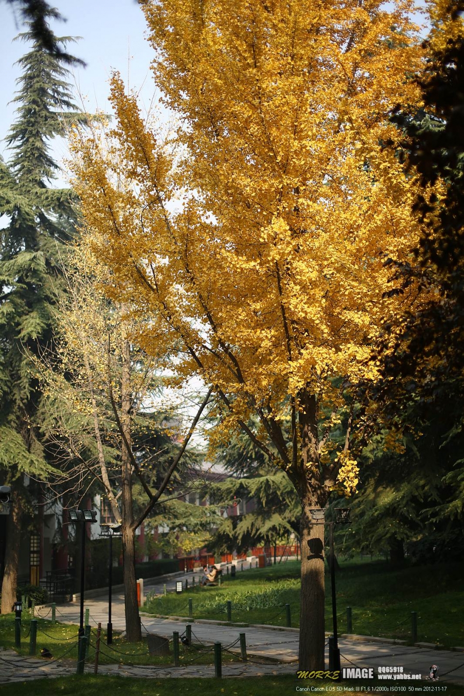 1G8A5722a.jpg
