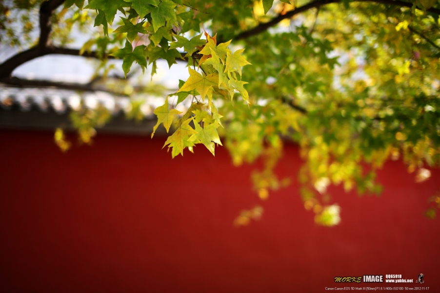 1G8A5818a.jpg