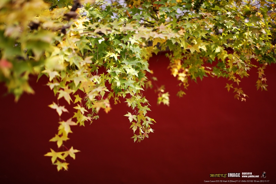 1G8A5821a.jpg