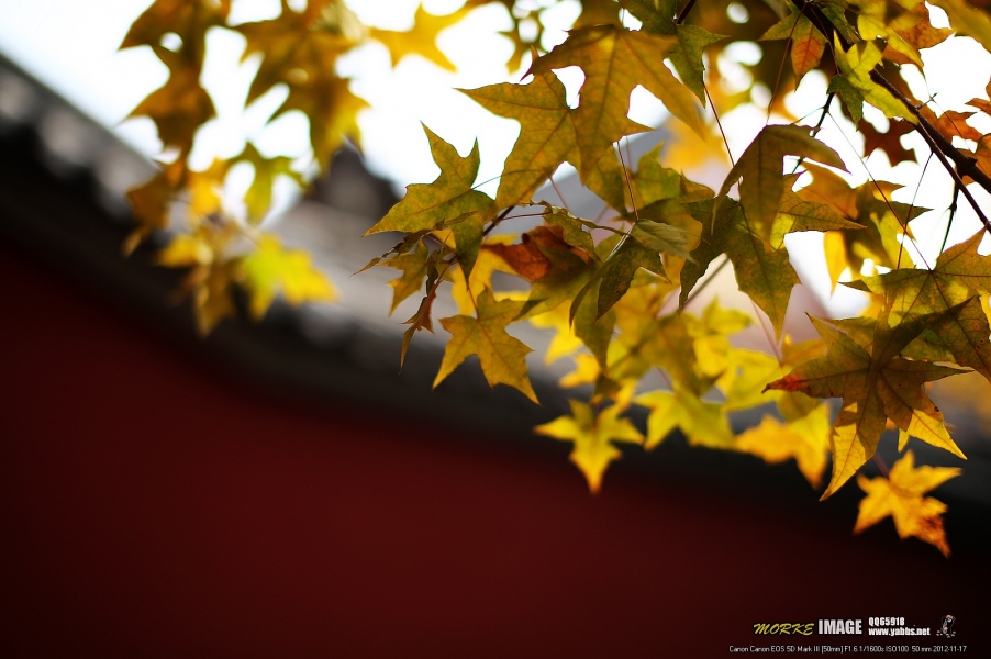 1G8A5827a.jpg