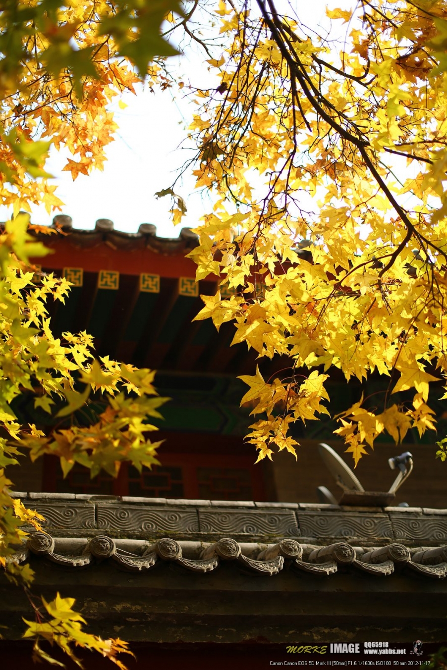1G8A5835a.jpg