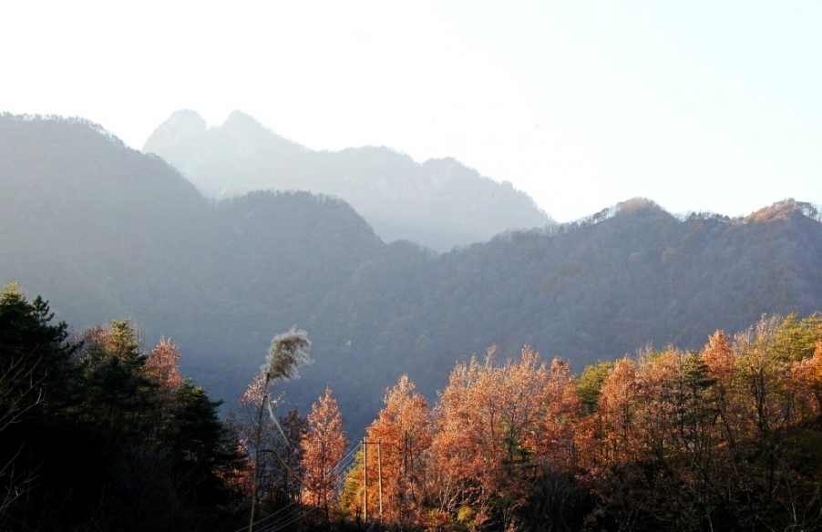 conew_img_9113_conew1.jpg