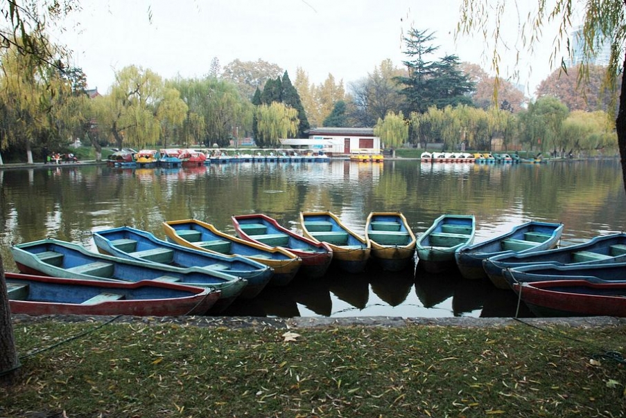 DSC_0011.JPG