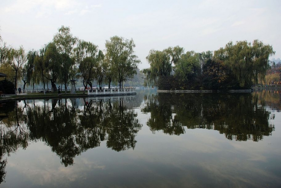 DSC_0042.JPG