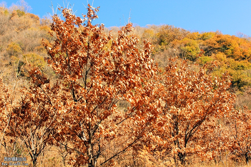 IMG_7757_副本.jpg