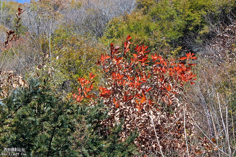 IMG_7761_副本.jpg