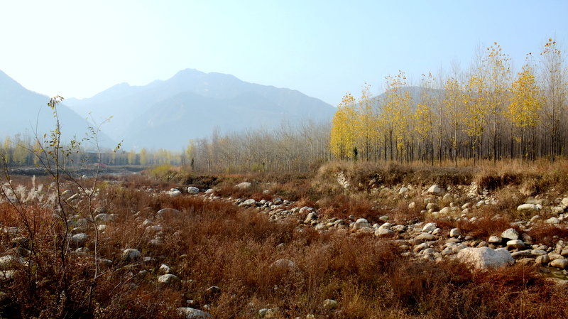 DSC_1014.jpg