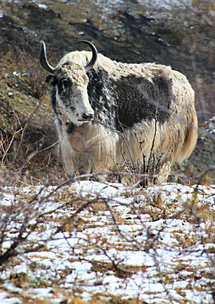 IMG_5435.jpg